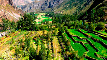 El Camino Inca