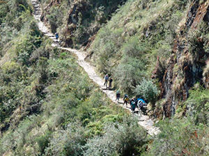 Camino