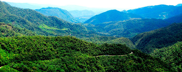 Selva Puerto Maldonado